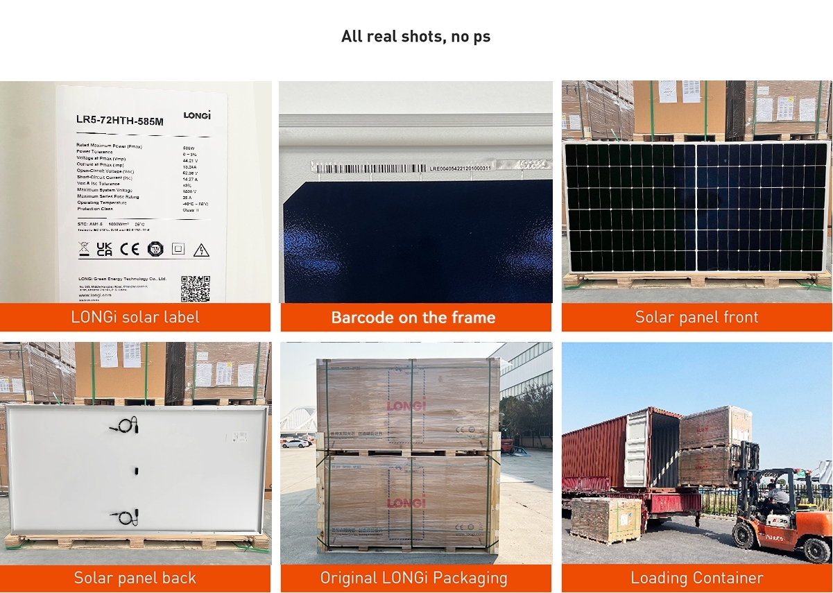 LONGi Solar Panels 625-660W customer image 2